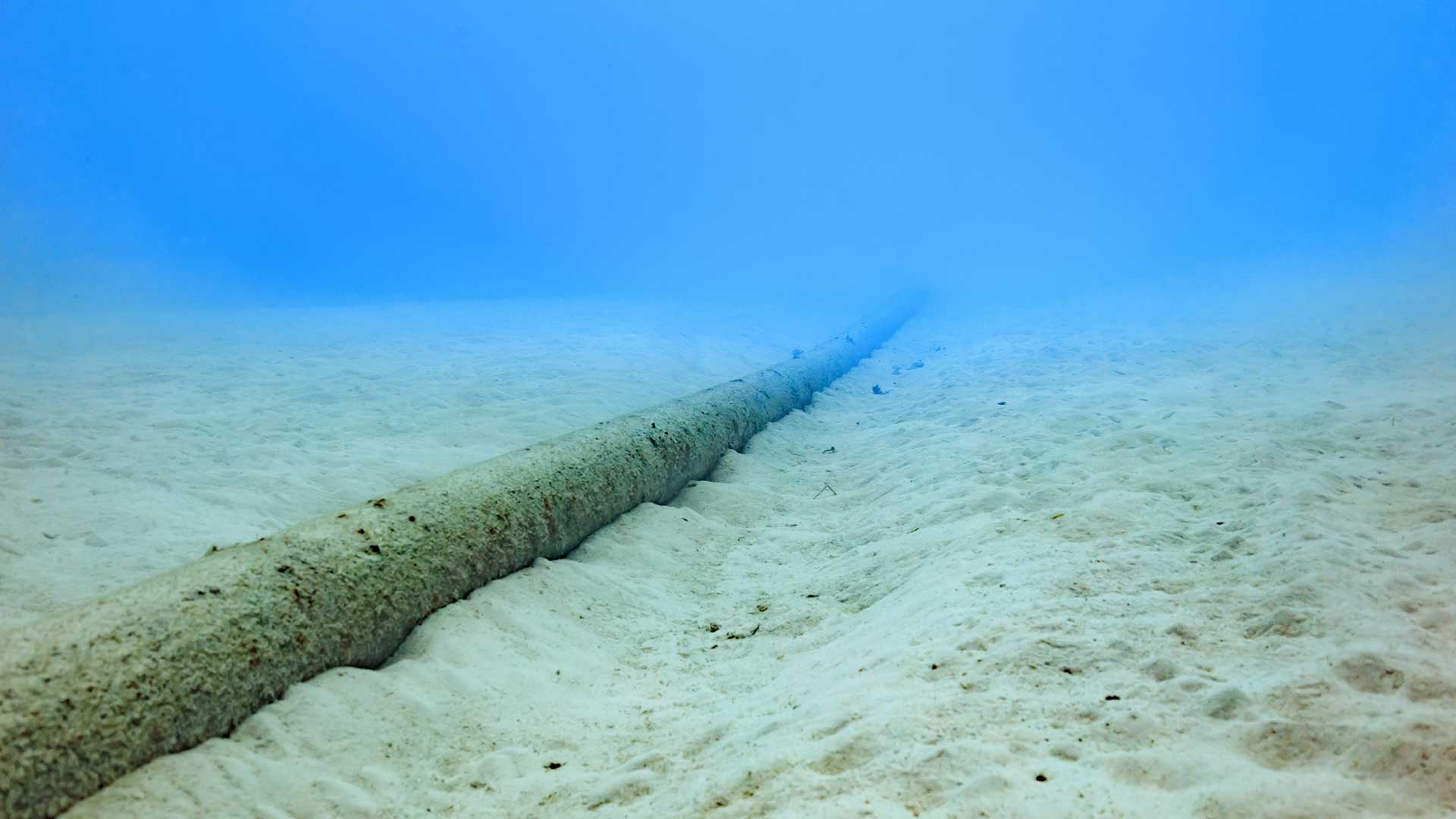 subsea cable